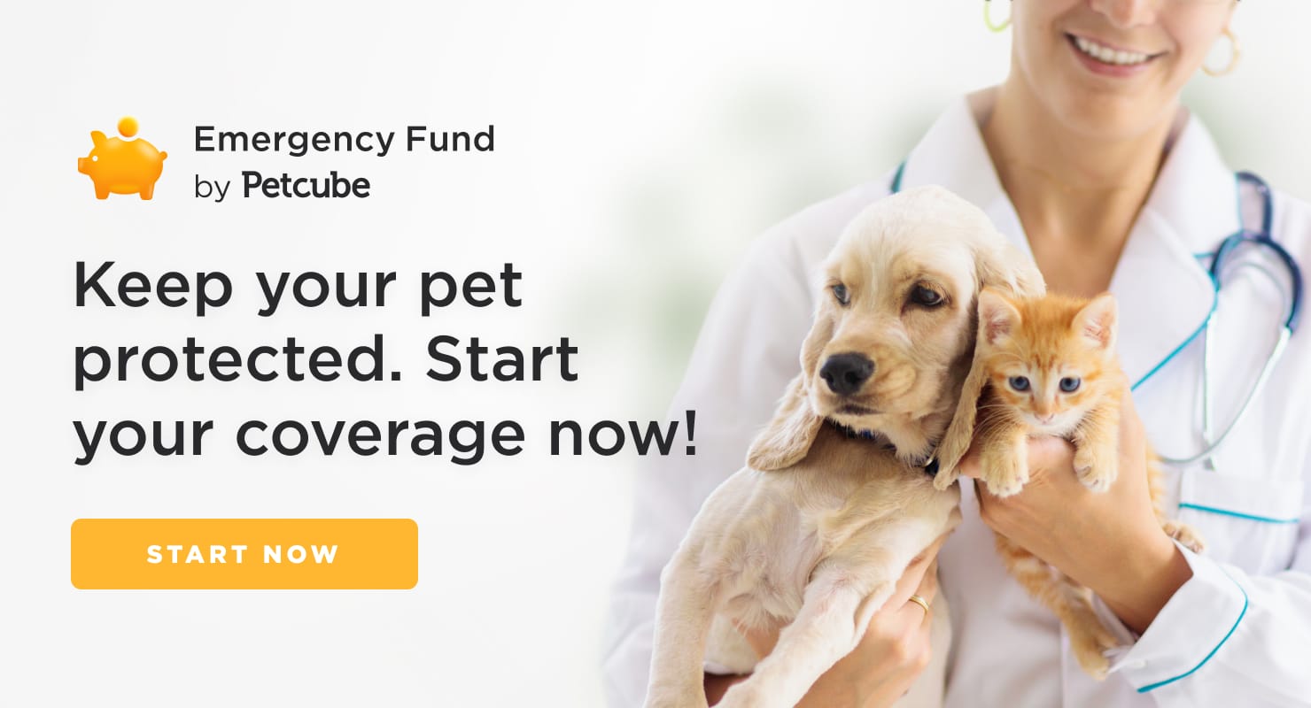 Emergency Fund by Petcube